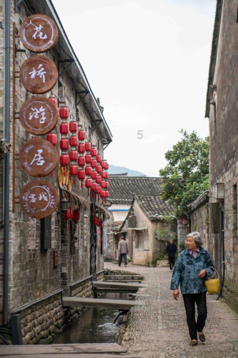 了解甘蔗是深根系还是浅根系作物?知识星球,获取专业知识与交流平台